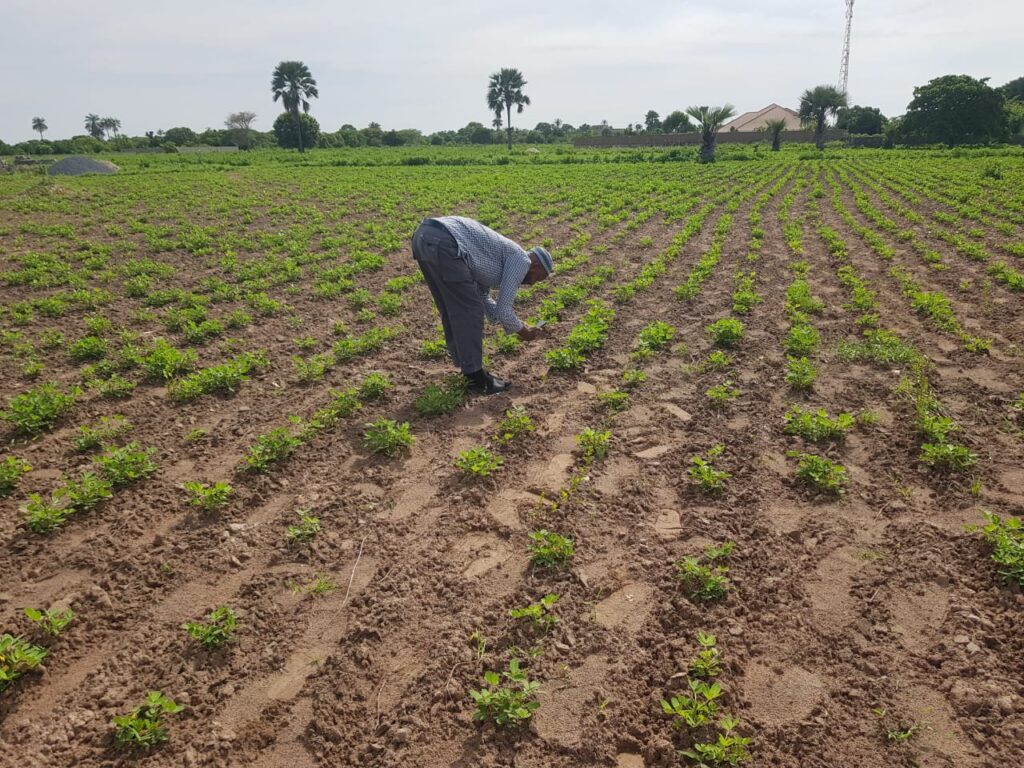 Exploring land in Africa